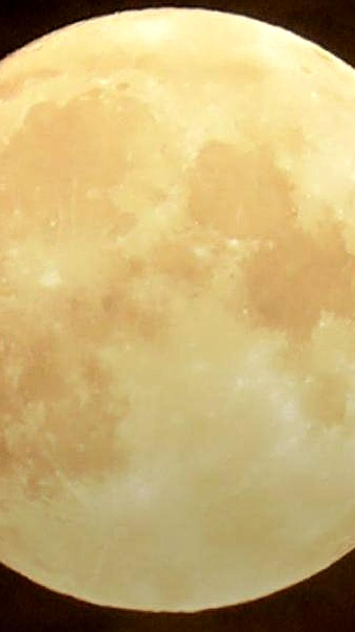 Москвичи могут пропустить бобровое суперлуние из-за облачности