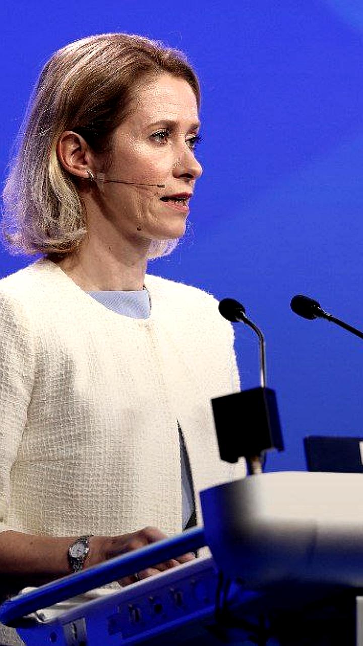 Кая Каллас анонсировала возможное вступление Украины, Молдовы, Албании и Черногории в ЕС к 2030 году