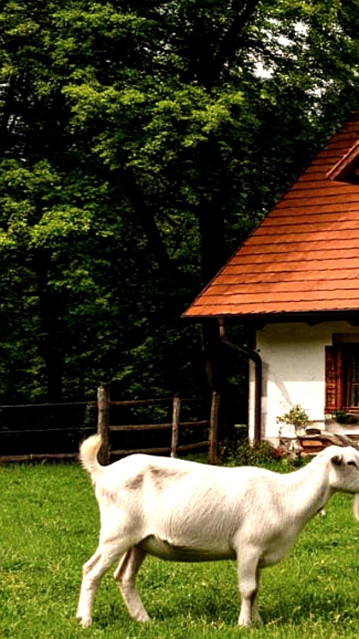 Суд возобновил дела о банкротстве предпринимателей с скрытыми активами