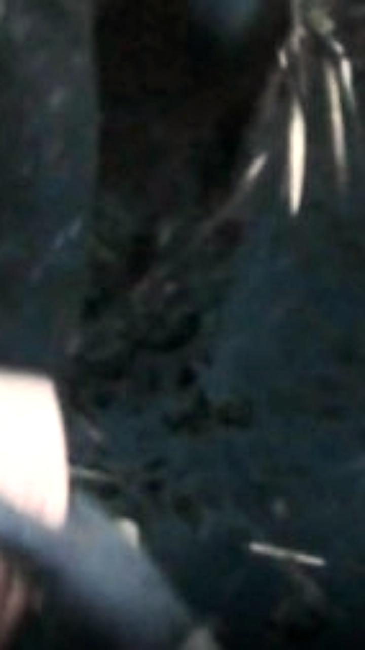 Спасение жительницы Миасса, оказавшейся в болоте после девичника