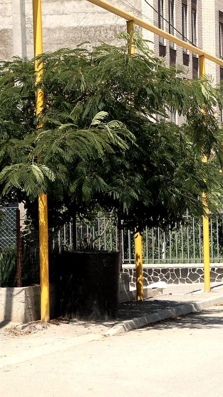 Дагестан планирует приватизацию газовых сетей на 500 млн рублей