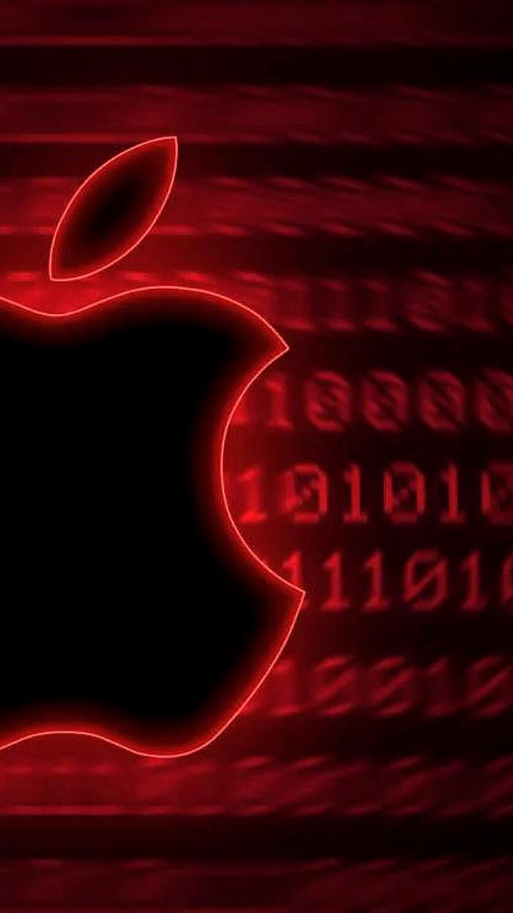 Apple случайно опубликовала исходный код веб-версии App Store на GitHub