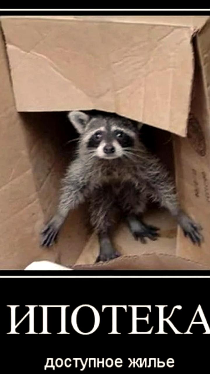 Спрос на новостройки в Екатеринбурге растет: рекорды по однушкам и активность на рынке