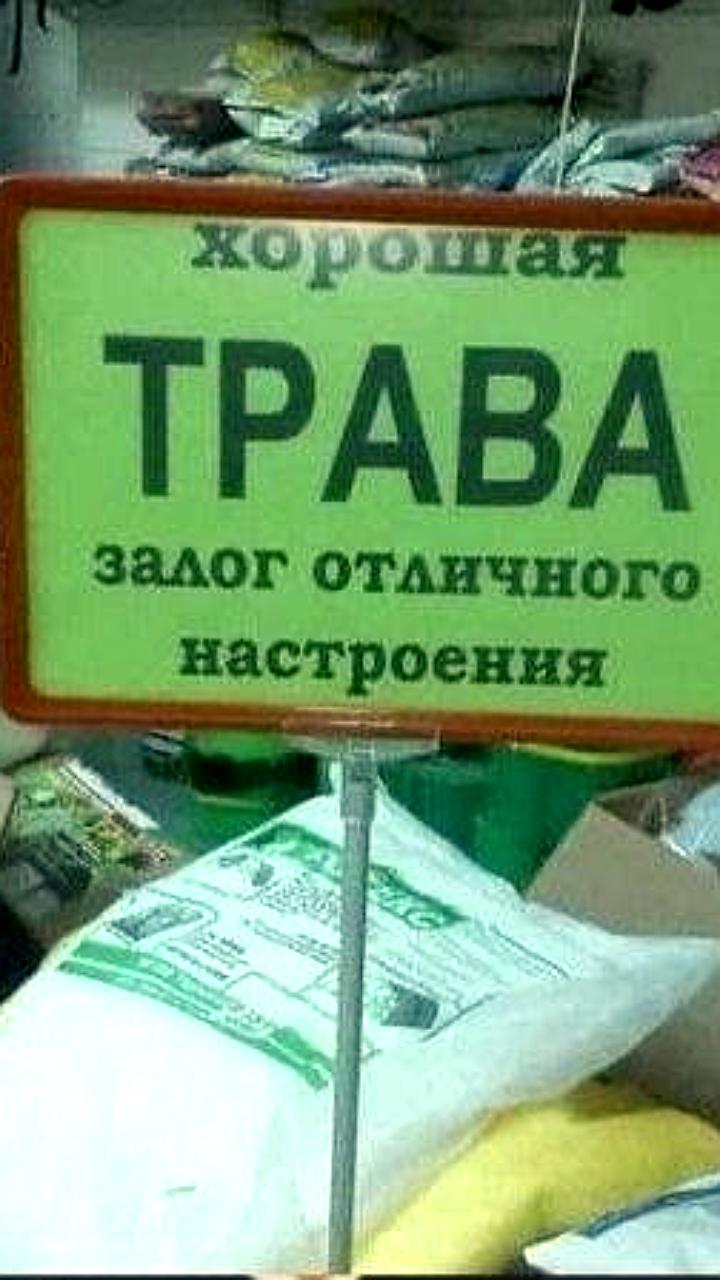 В Татарстане откроют завод по переработке конопли с инвестициями 100 млн рублей