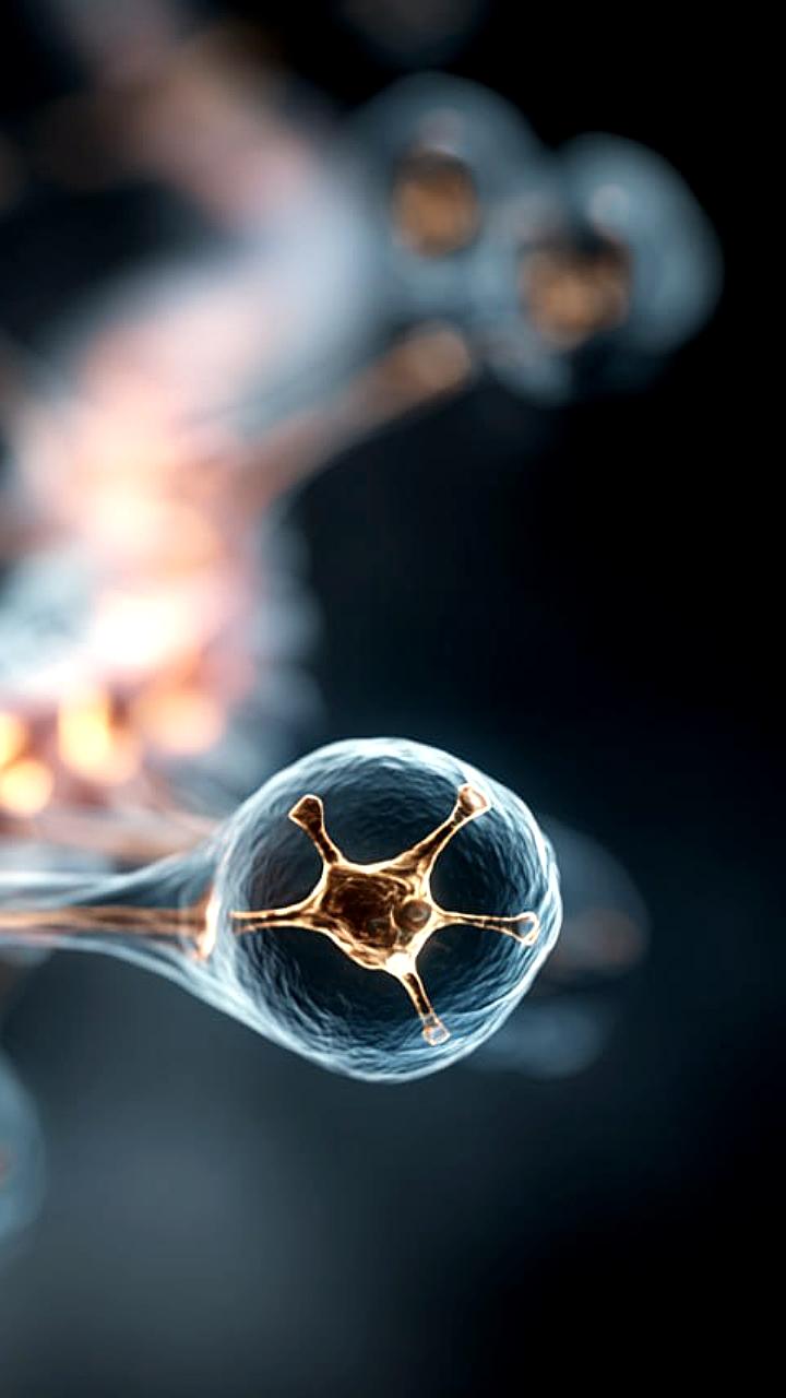 Ученые разработали метод лечения компрессионных переломов с помощью стволовых клеток