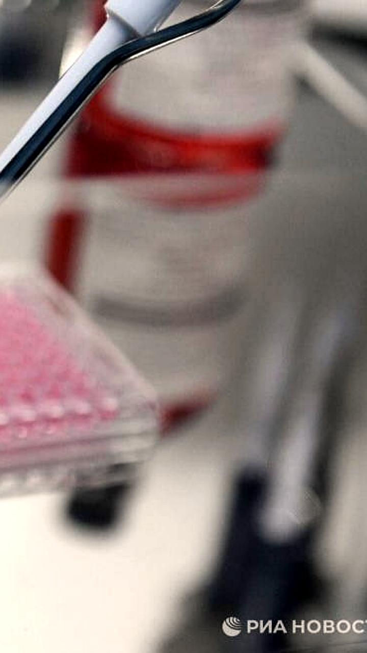 Первый в России клеточный препарат для лечения рака молочной железы успешно прошел доклинические испытания