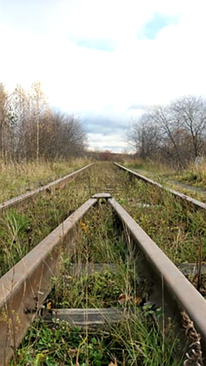 Укрзалізниця предупреждает о возможной остановке железнодорожного сообщения из-за убытков