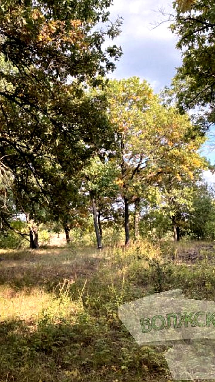 Арбитражный суд требует снести постройки в Волго-Ахтубинской пойме на фоне спора о лесах в Самарской области