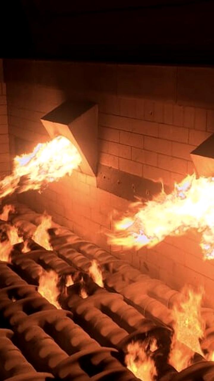 В Бурятии строят завод по утилизации павшего скота