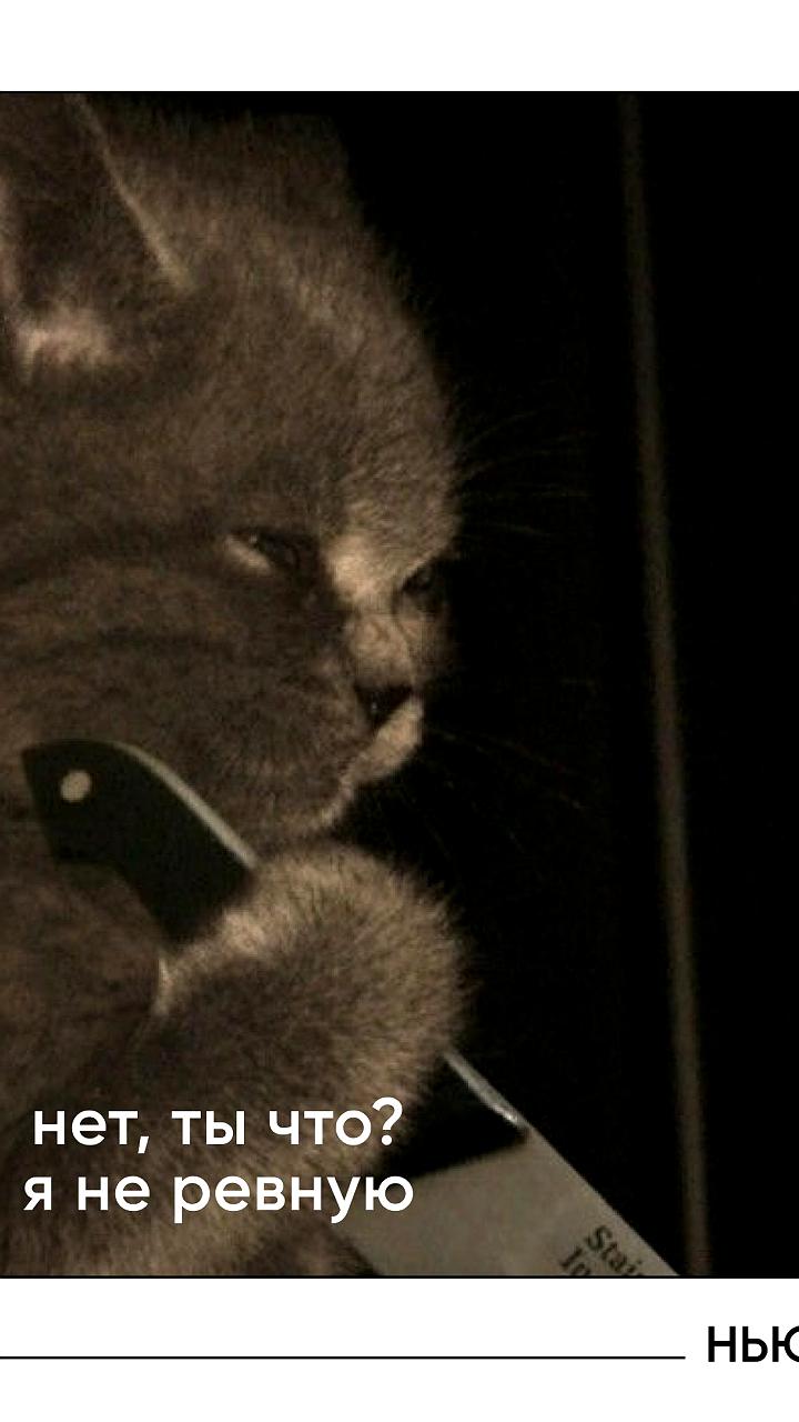 Опрос: каждый пятый мужчина ревнует партнершу к коллегам