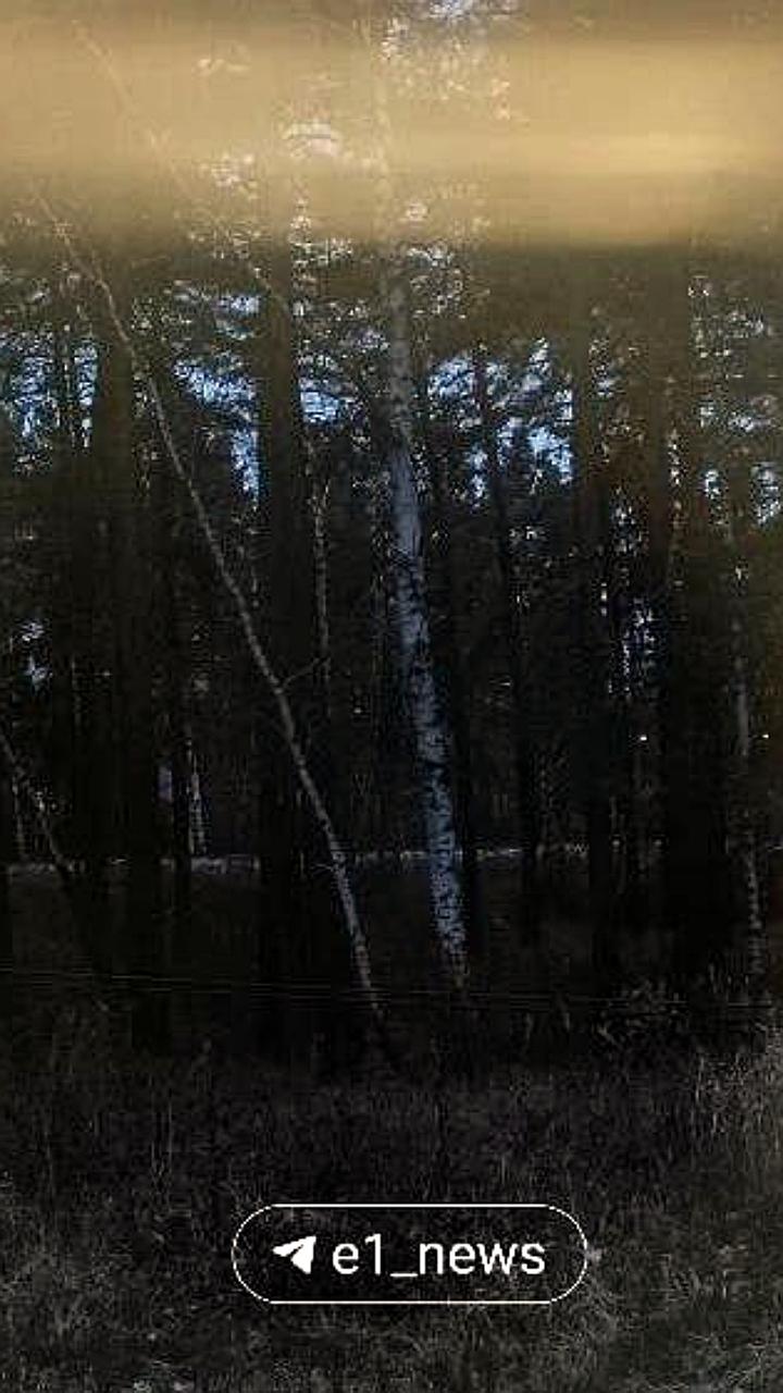 Проблемы с транспортом в Екатеринбурге: электричка застряла в лесу, трамвай загорелся