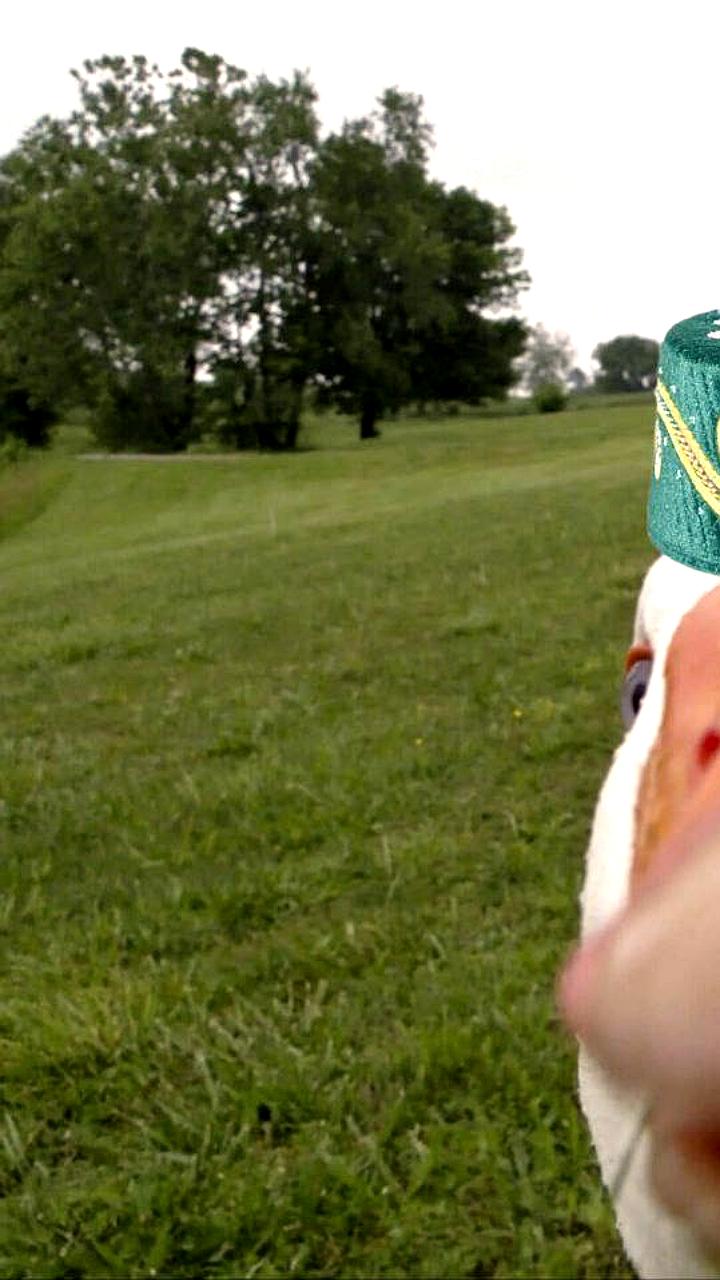 В Татарстане начнется выведение новой породы гуся по поручению Рустама Минниханова