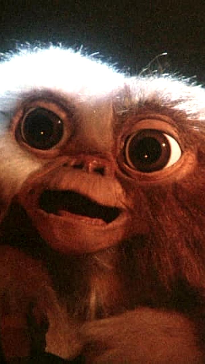 Warner Bros анонсировала производство Гремлинов 3 с Крисом Коламбусом и Стивеном Спилбергом