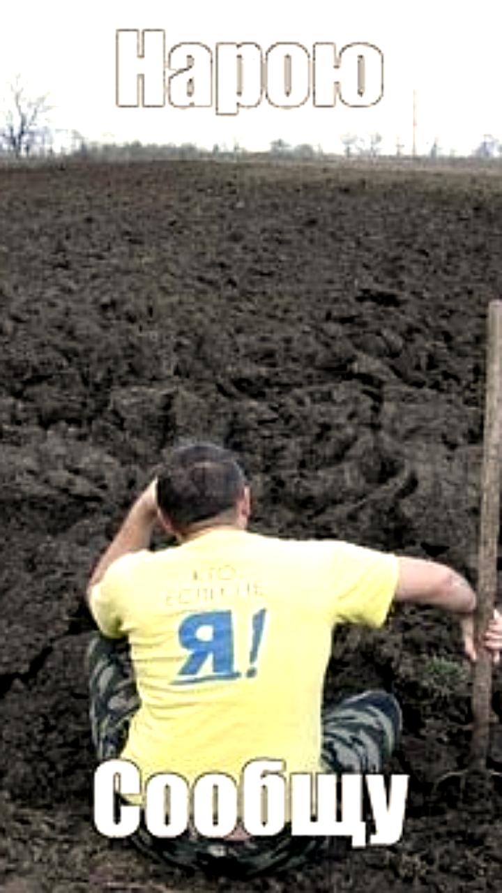 Во Франции найден клад из золотых слитков и монет стоимостью 700 тысяч евро