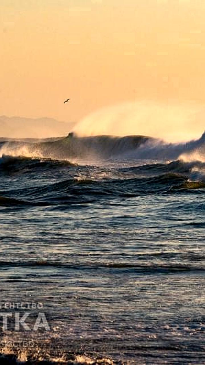 Путин инициирует стратегию развития спортивной медицины и спорта в России до 2030 года