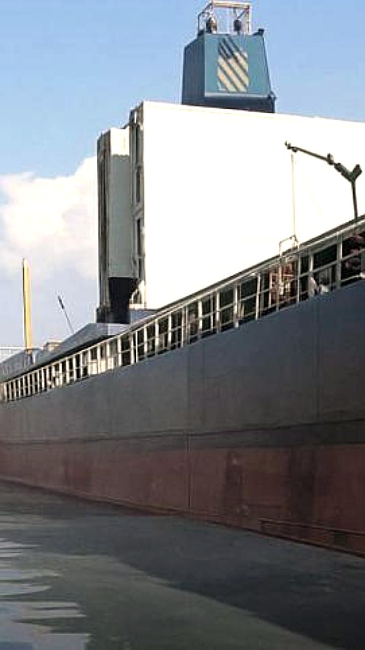 Росприроднадзор требует компенсацию за экологический ущерб в Приморье и Мурманске