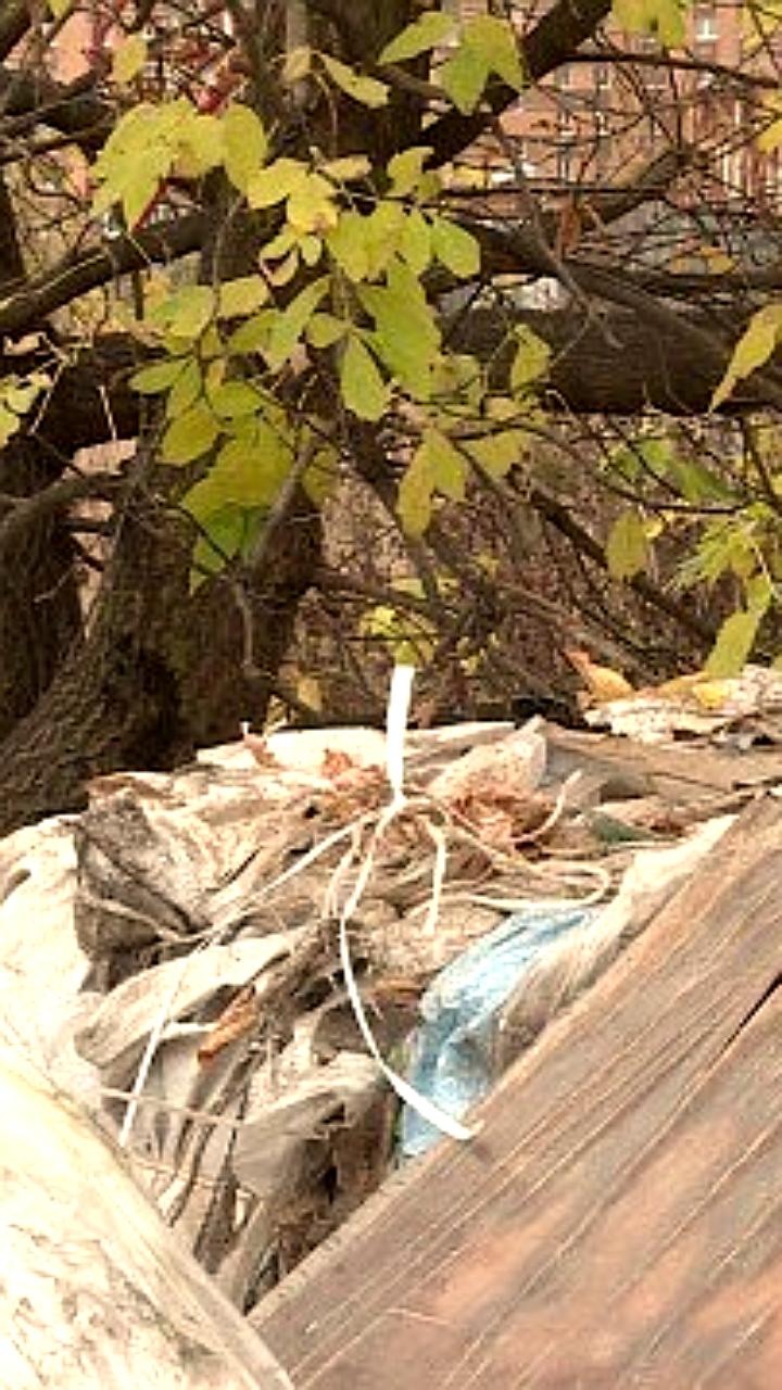 Прокуратура устраняет нарушения по благоустройству кладбищ и борьбе с несанкционированными свалками