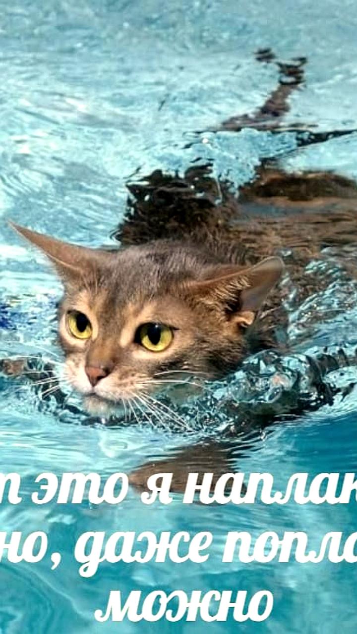 Занятия по закаливанию на Малых Голубых озерах: советы и рекомендации