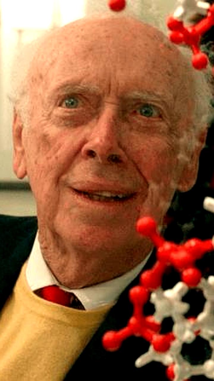 Умер лауреат Нобелевской премии Джеймс Уотсон, открывший структуру ДНК