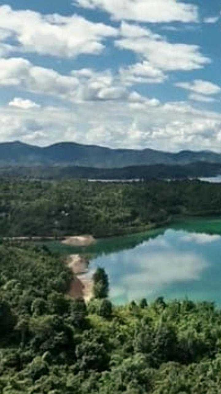 Бразилия, ЕС и Китай создают коалицию для улучшения углеродных рынков на COP30