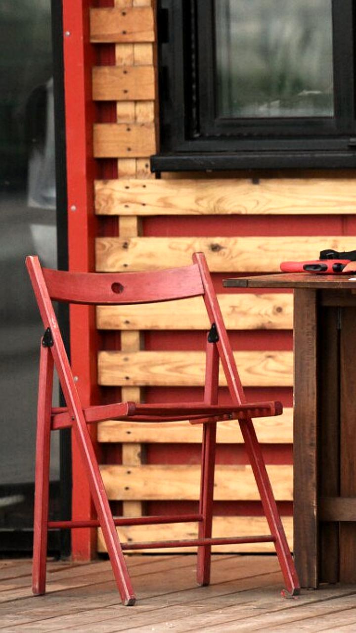 В Госдуме предложили запретить домашних животных в ресторанах и магазинах