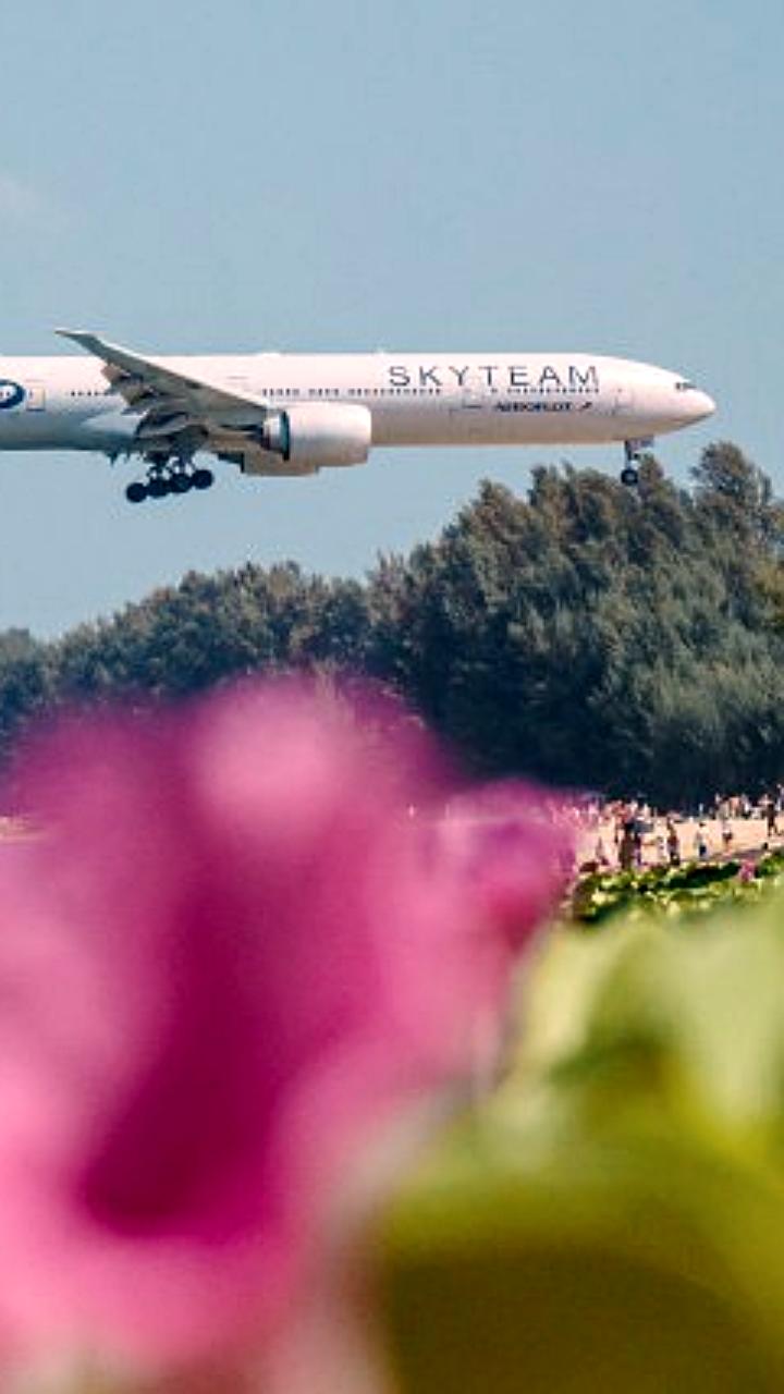 Фейковые новогодние туры: мошенники обманывают россиян