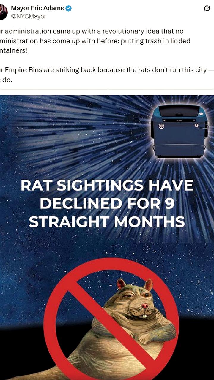 Нью-Йорк внедряет инновационные мусорные контейнеры с крышками для борьбы с крысами