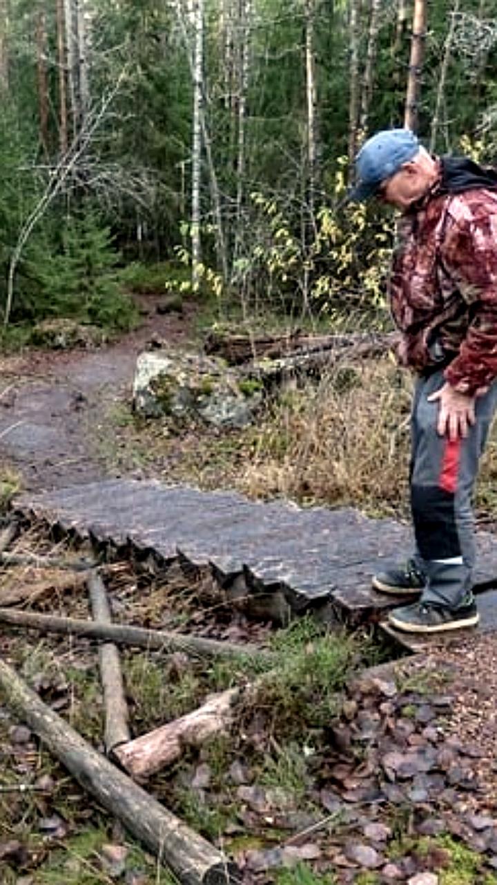 Закрытие экотропы в парке Монрепо из-за вандализма