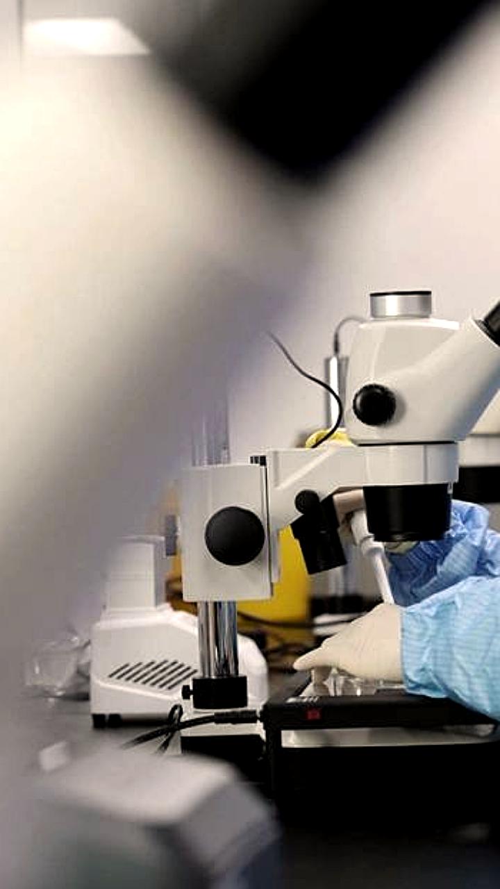 Китайский стартап Lonvi Biosciences разработал таблетки долголетия на основе виноградных косточек