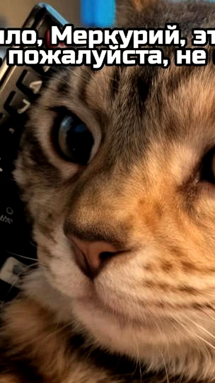 Ретроградный Меркурий: советы астрологов для Скорпионов, Стрельцов, Близнецов и Дев