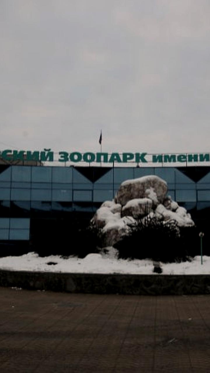 Зоопарки России обмениваются редкими животными и делятся историями дружбы