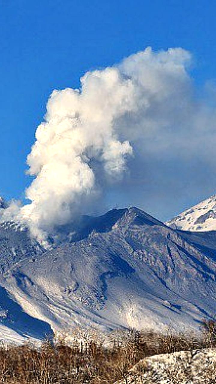 Пепловый шлейф вулкана Шивелуч достиг 50 км, установлен оранжевый код опасности