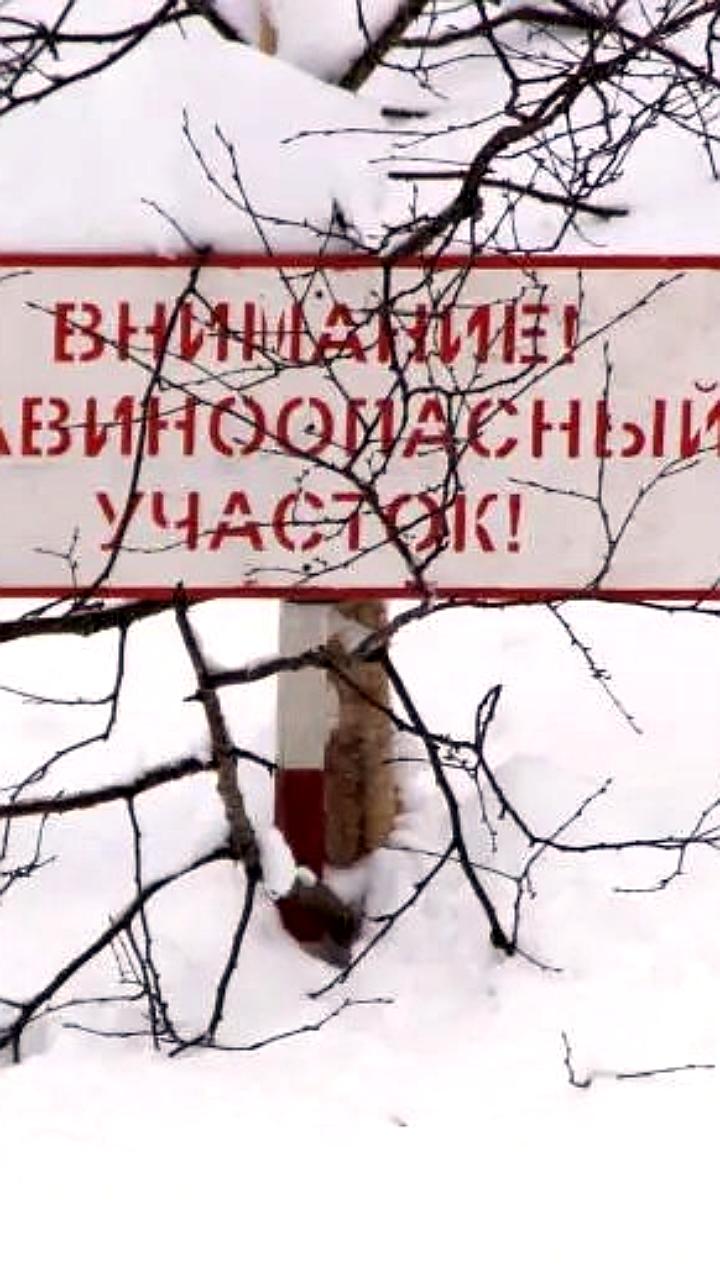 Лавинная опасность объявлена в горных районах Камчатки с 11 по 13 ноября