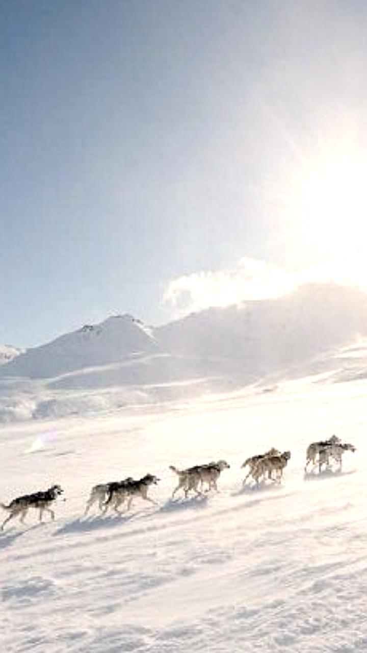 Открыт приём заявок на гонку Берингия Авача 2026