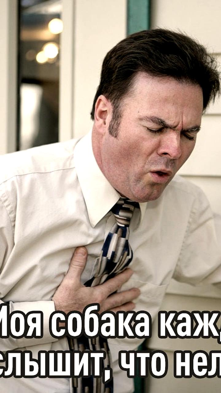 Стресс хозяев приводит к сердечным приступам у домашних животных