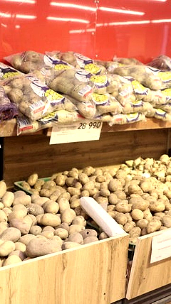 Самаркандская область возглавила производство картофеля в Узбекистане