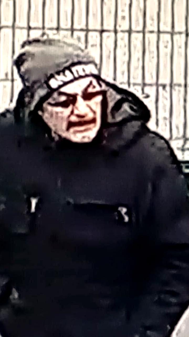 В Подмосковье продолжаются поиски пропавшей собаки Сима после подозрения на похищение