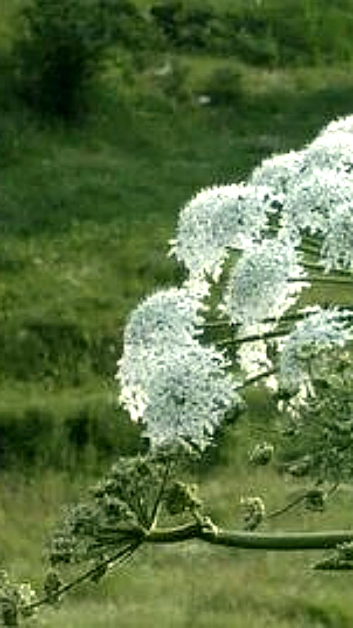 Несколько подростков пострадали в результате инцидентов в Новгородской области и Волгограде