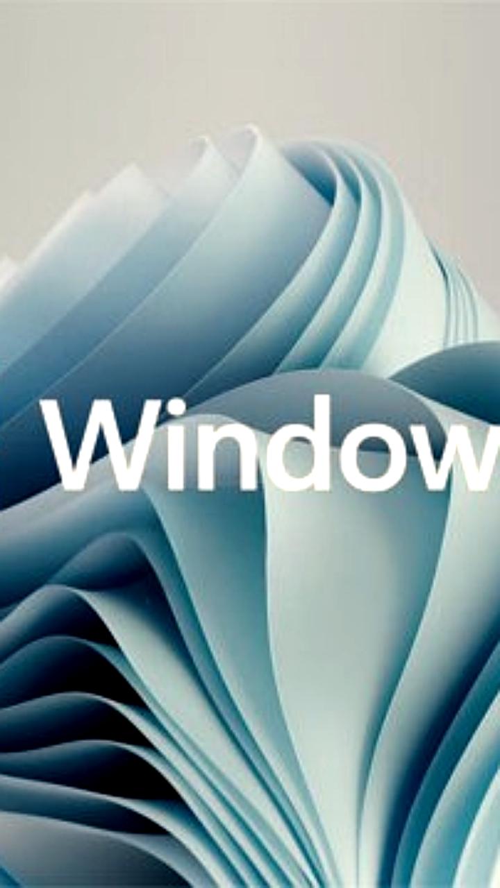 Windows 11 достигает 55% рыночной доли, Windows 10 теряет позиции