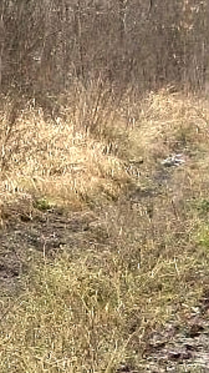 В Зуевке водитель Lada Kalina сбил пешехода и скрылся с места ДТП