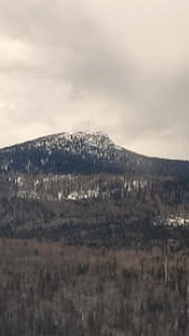 Прокуратура контролирует устранение нарушений на мусорном полигоне в Жаворонково и проверяет недропользователей в Магаданской области