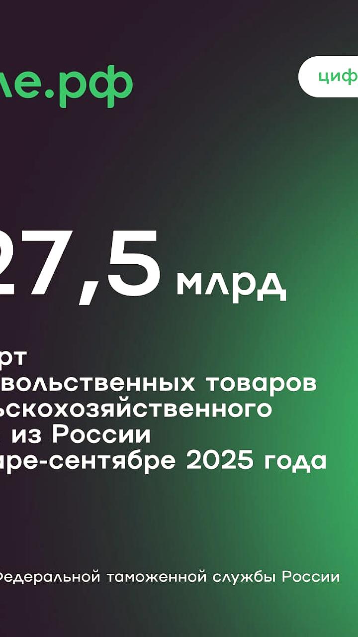 Импорт пищевого оборудования в РФ увеличился на 59% за 2024 год