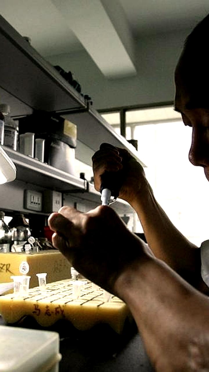 Китайские ученые разработали новый метод синтеза лекарств, упрощая производство