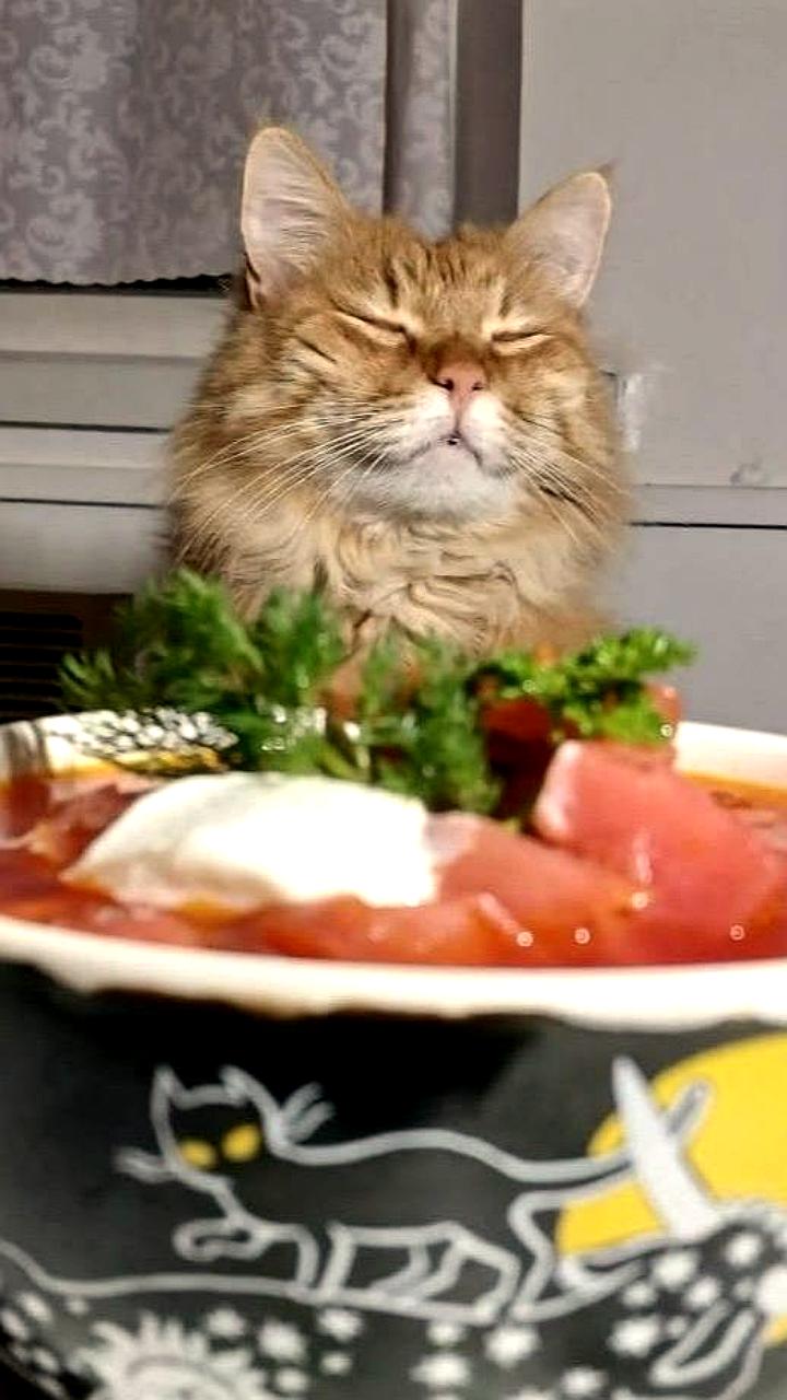 День борща: празднование национального блюда в России и за ее пределами