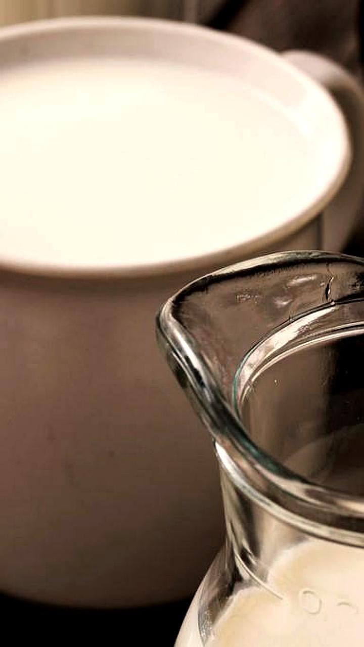 Дагестан и Белоруссия заключили контракт на поставку молочных сепараторов на 50 млн рублей