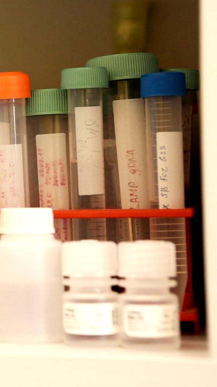 Новосибирские ученые разработали уникальный препарат против сахарного диабета