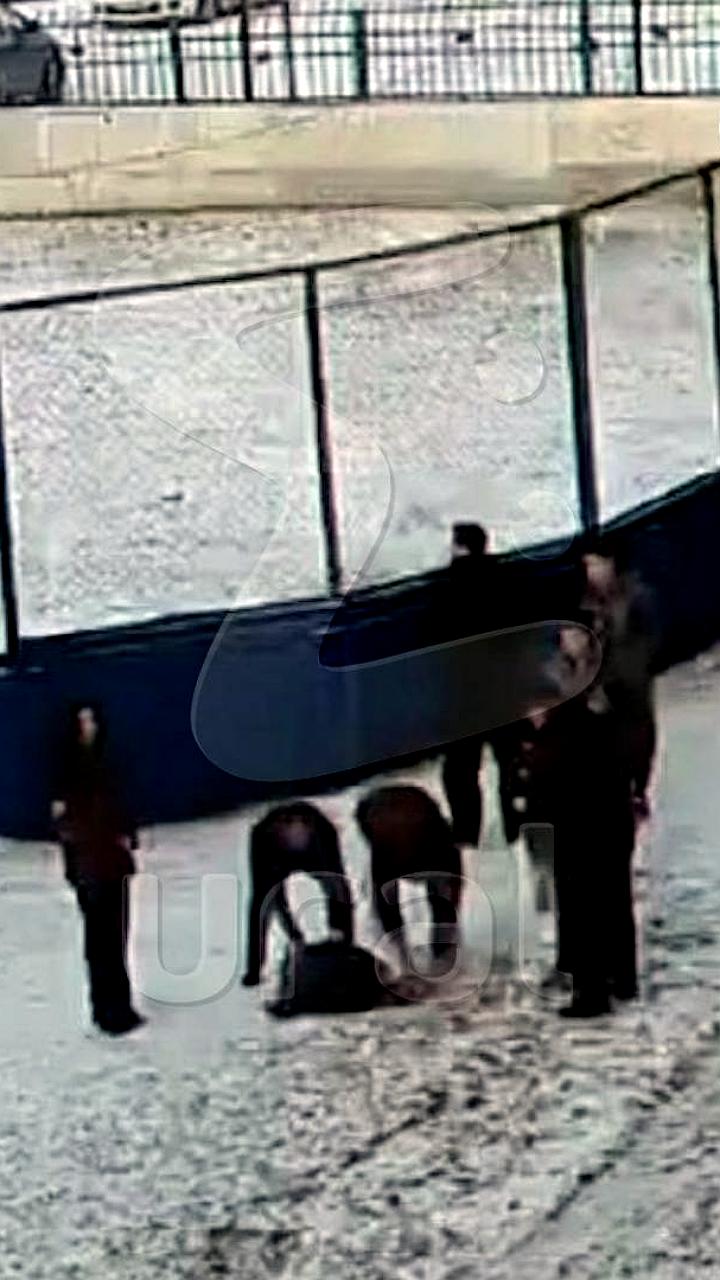 В Тюмени мужчина привлечен к ответственности за забой барана во дворе многоэтажки