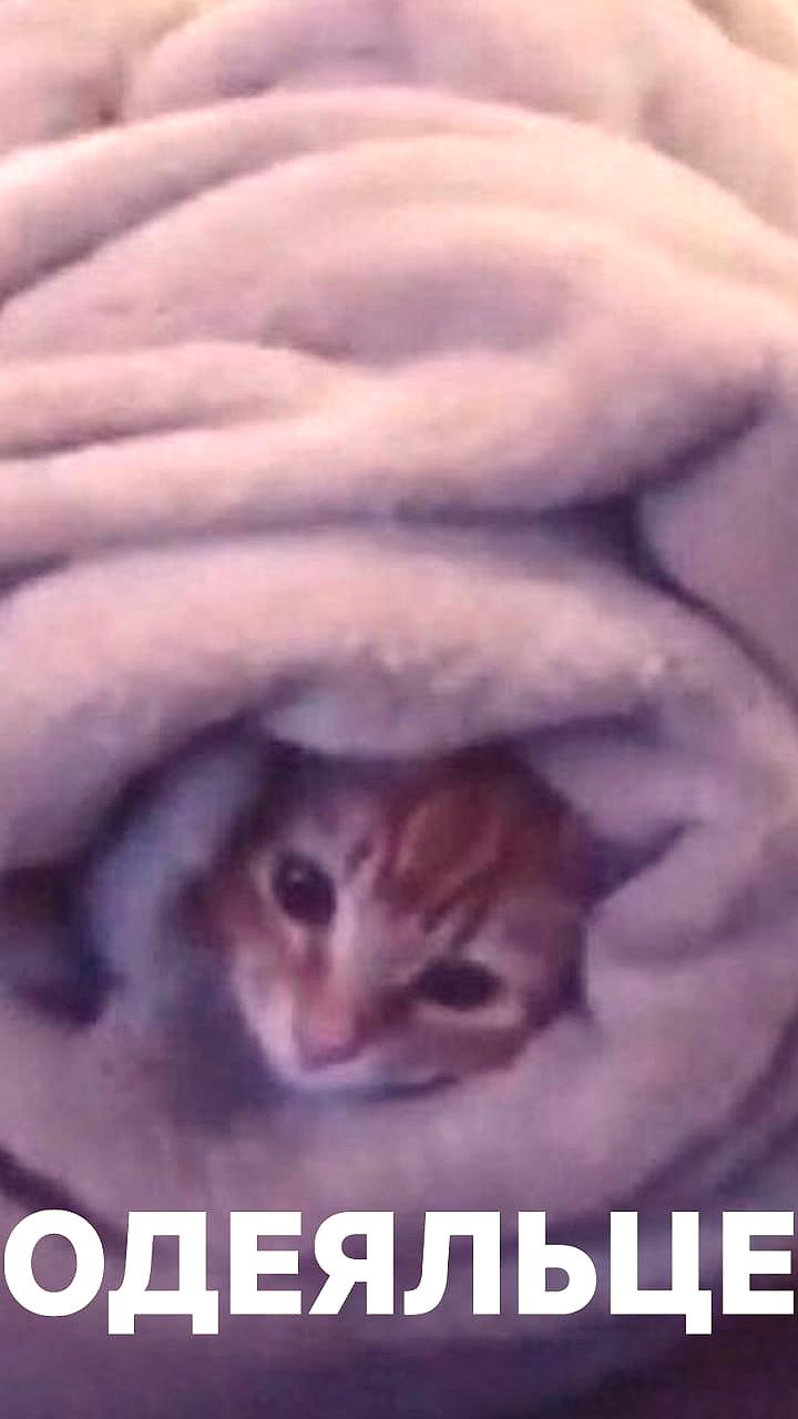 Исследования подтверждают эффективность утяжелённых одеял для людей с СДВГ и депрессией