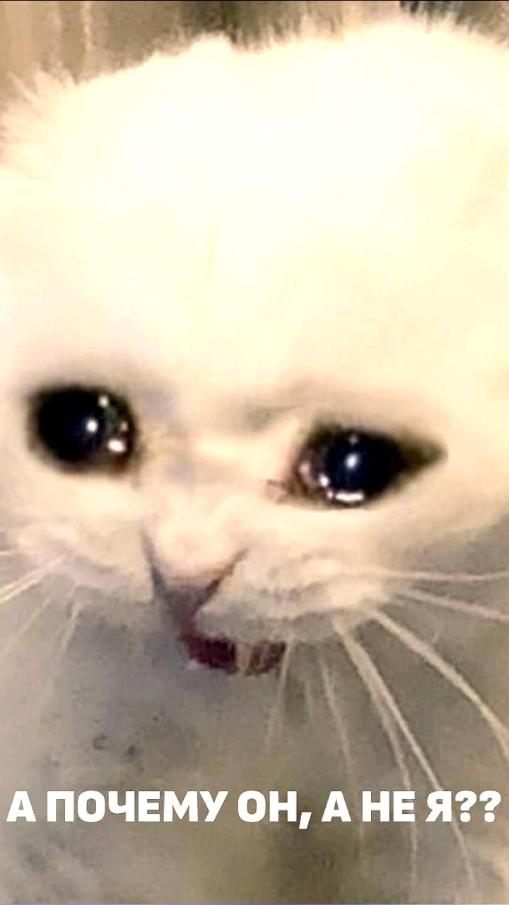 14 россиян стали миллионерами в лотерее Мечталлион