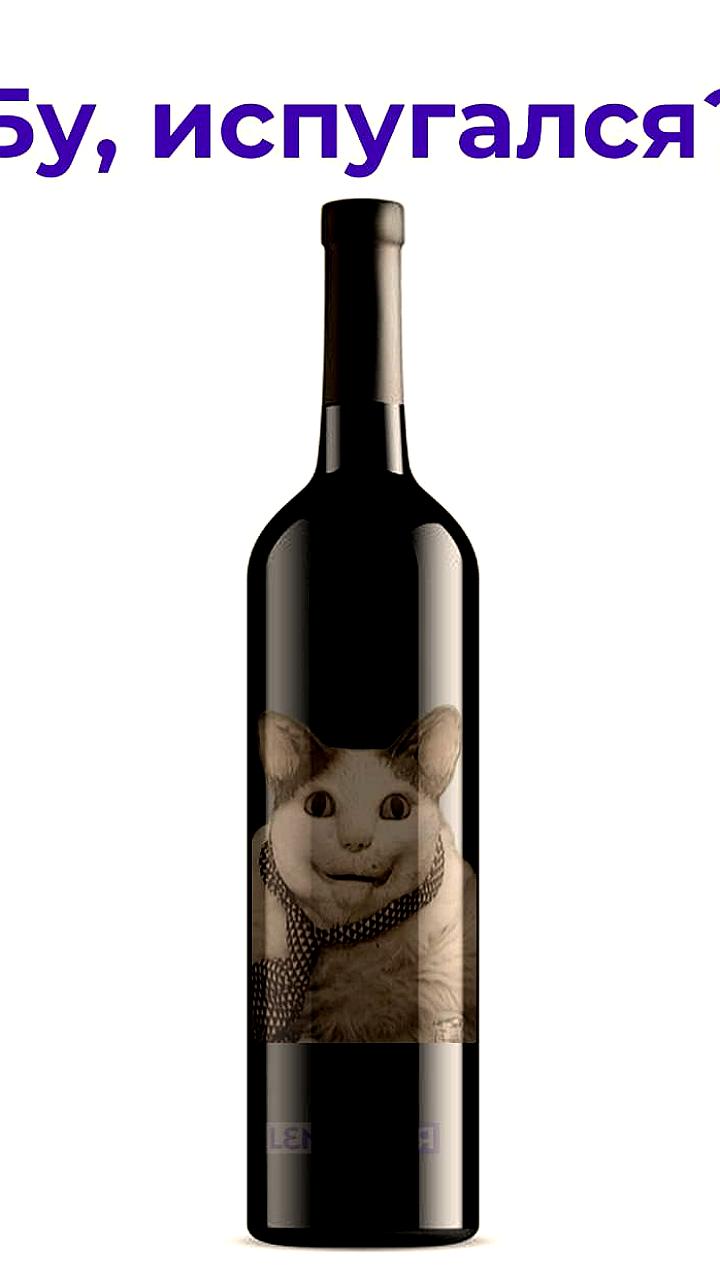 В Госдуме предложили размещать на бутылках алкоголя информацию о вреде